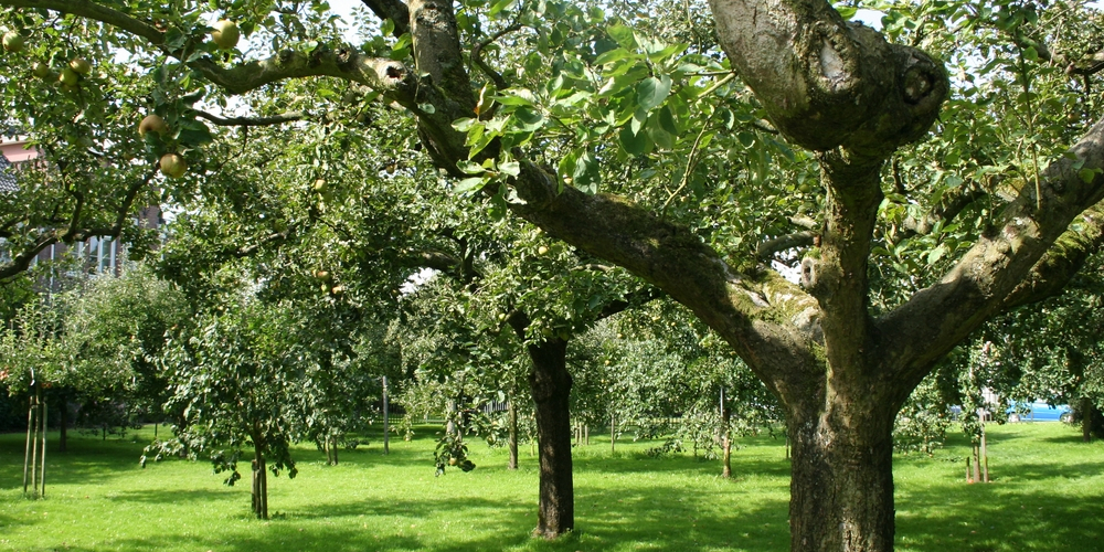 The Original Winkel 1 The Original Winkel -The Original Winkel erfinrichting 0111